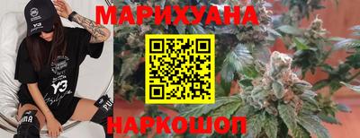 Альфа ПВП Ачхой-Мартан