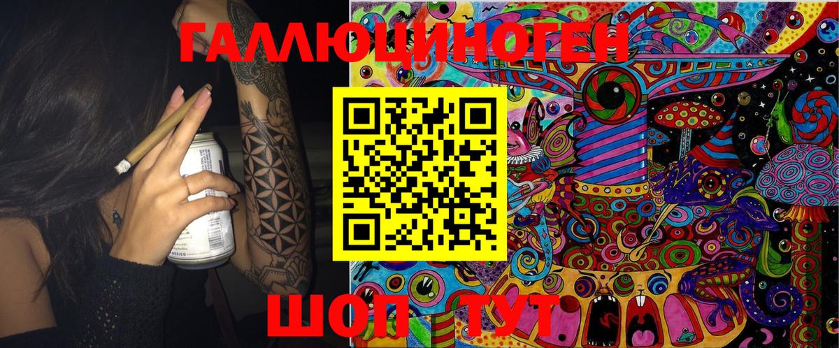 Галлюциногенные грибы Psilocybe Дзержинский