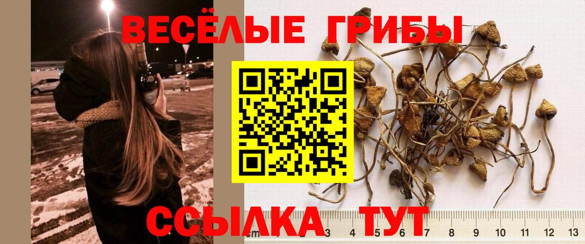 Дзержинский  Галлюциногенные грибы GOLDEN TEACHER  Вход с VPN 